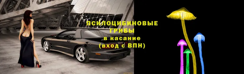 Псилоцибиновые грибы мухоморы  Кисловодск 